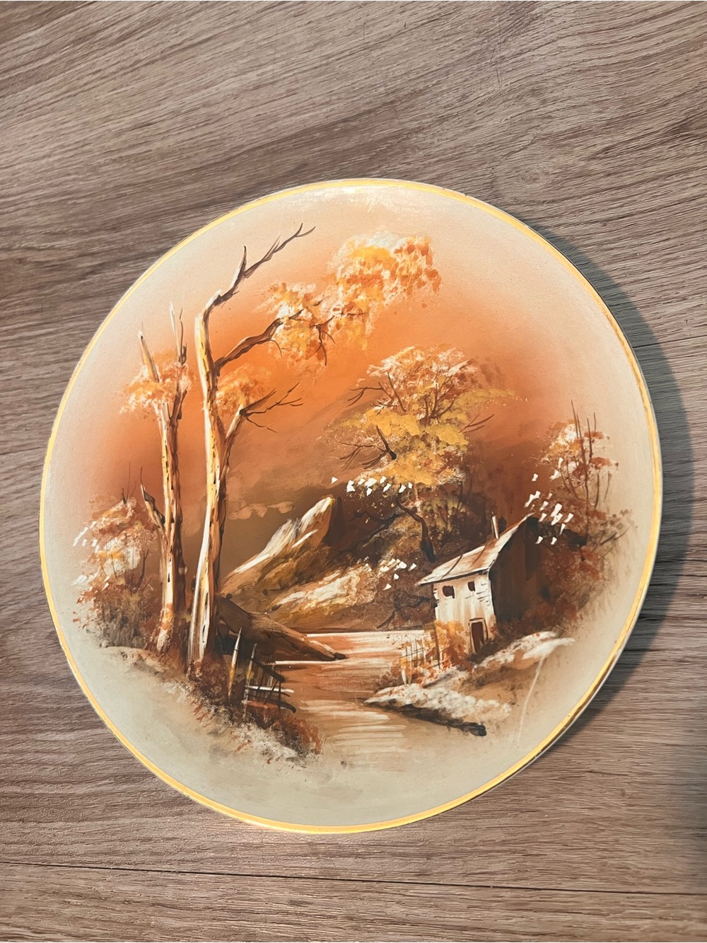 Vintage hand-painted landscape scene, decorative porcelain collector plate